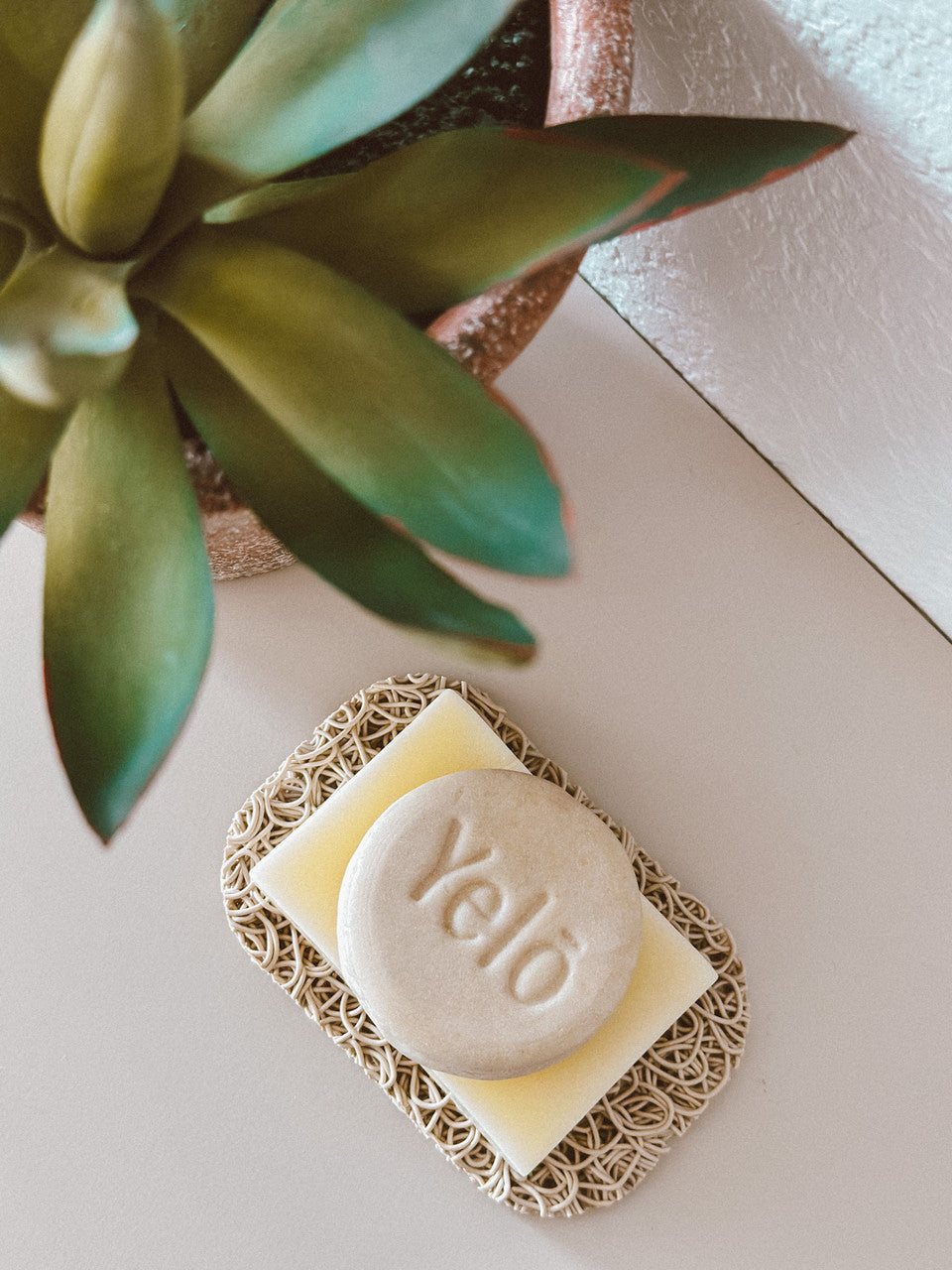 Detoxifying Shampoo Bar